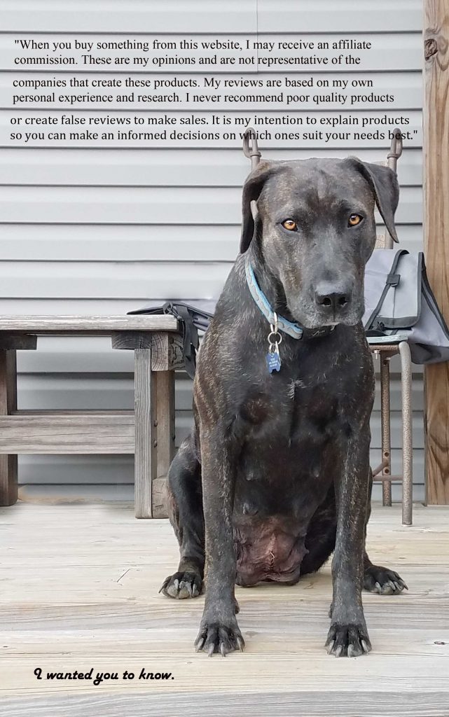 image of dog on porch