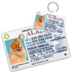 Dog Tag Drivers License