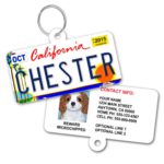 Dog Tag License Plate